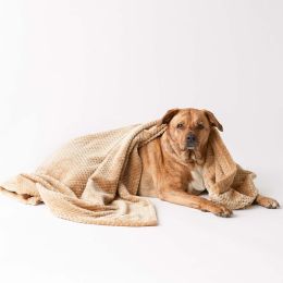 Bone Dry Microfiber Pet Blanket