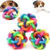 Rubber Training Chew Ball Small Bell Squeaky Sound Play Toy Dog Bite Resistant Ball Dog