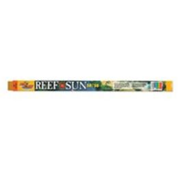 Zoo Med Reef Sun 50/50 Actinic & Daylight T8 Lamp White 36 in