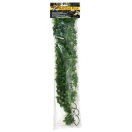 Zoo Med Natural Bush Congo Ivy Plants Green 22 in Large