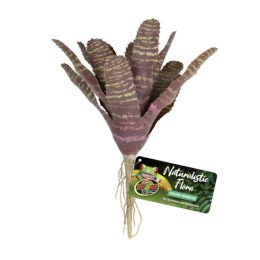 Zoo Med Naturalistic Flora Chestnut Bromeliad Terrarium Plant Purple, Tan