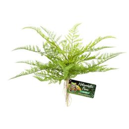 Zoo Med Naturalistic Flora Lace Fern Terrarium Plant Green, Tan